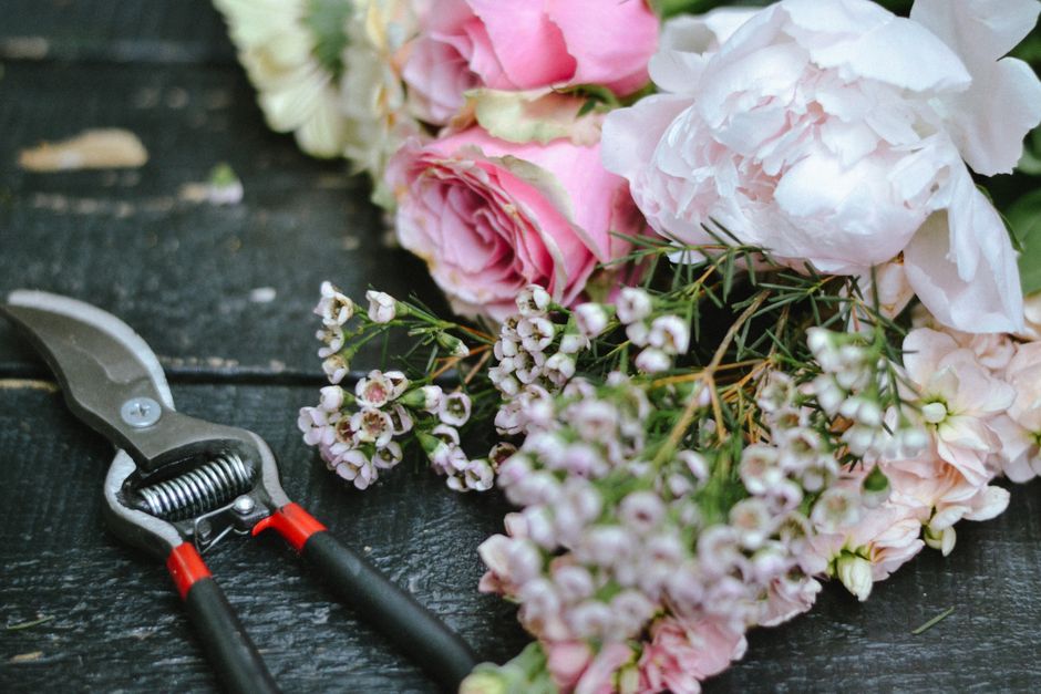 A clear view of a floral arrangement in progress, featuring light pink roses, white peonies, and small white waxflower blooms with green foliage, resting on a dark wooden surface. A black-handled pair